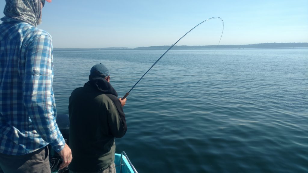  >Guided Saltwater Fly Fishing Seattle Puget Sound South